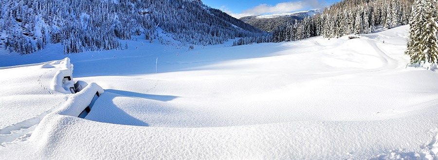 Val di Fiemme na narty